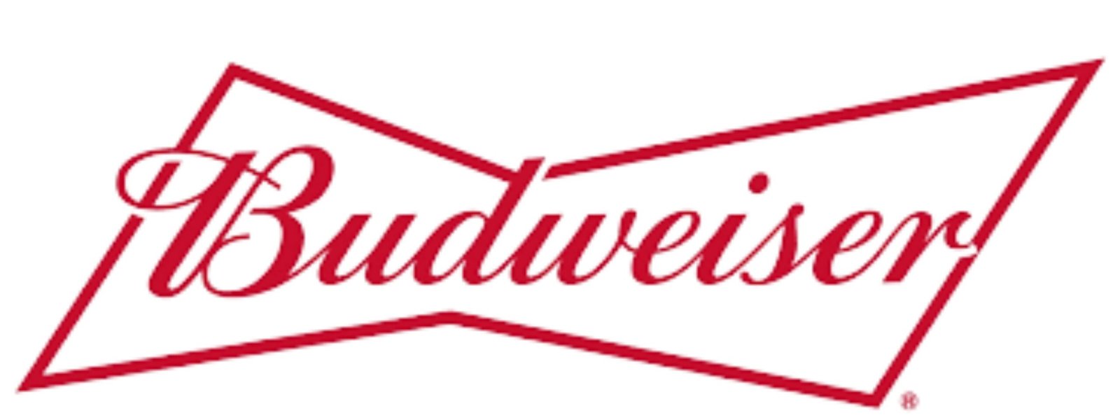 Art Fusion Lagos NG Collaborations with budweiser